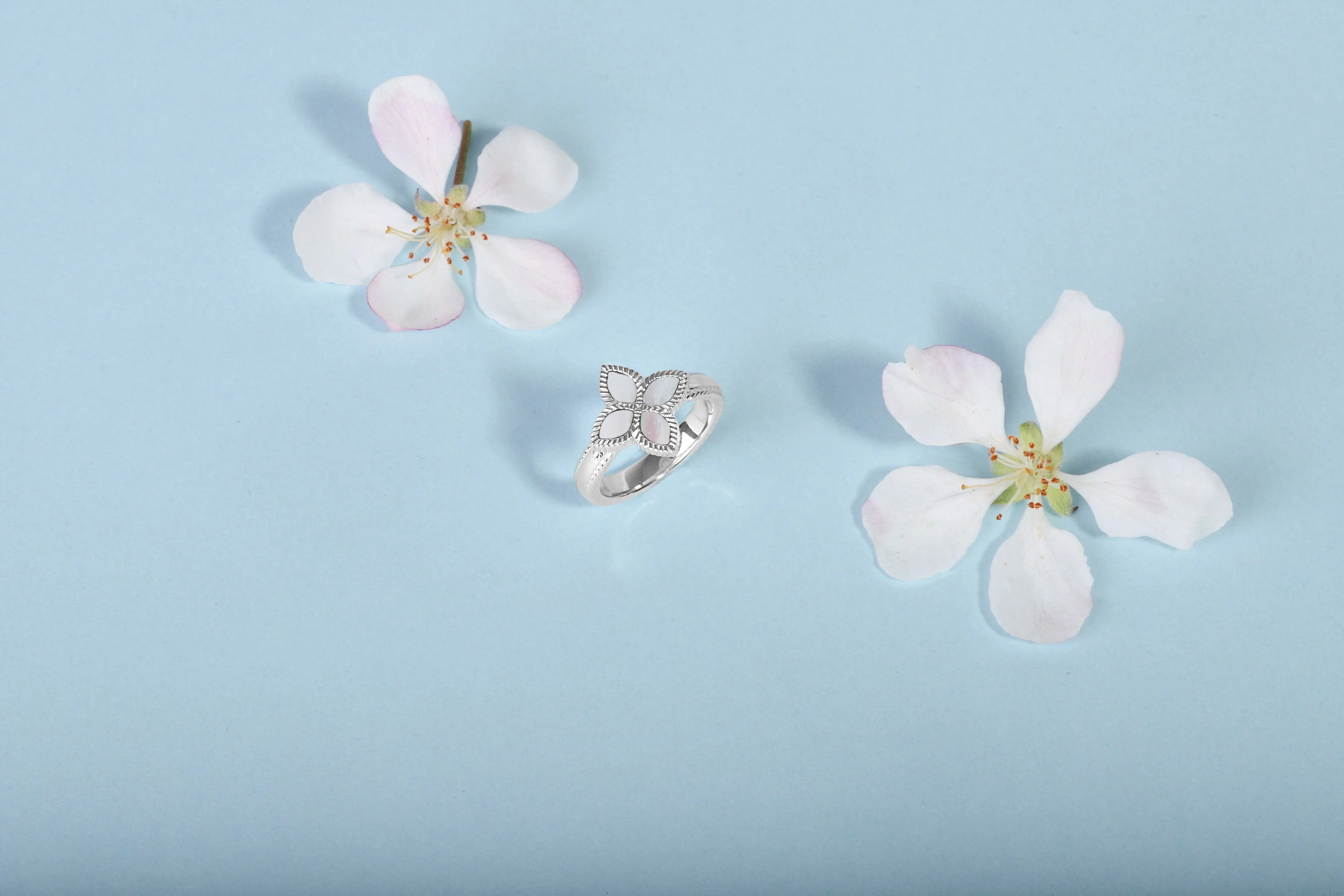 9ct Yellow Gold White Mother of Pearl Eden Marquise Flower Ring