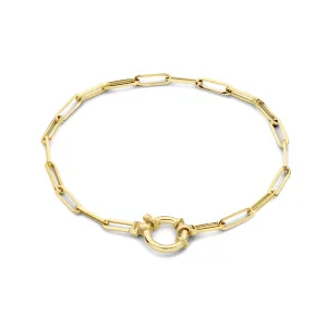 Aidee Odile 14 karat gold link bracelet