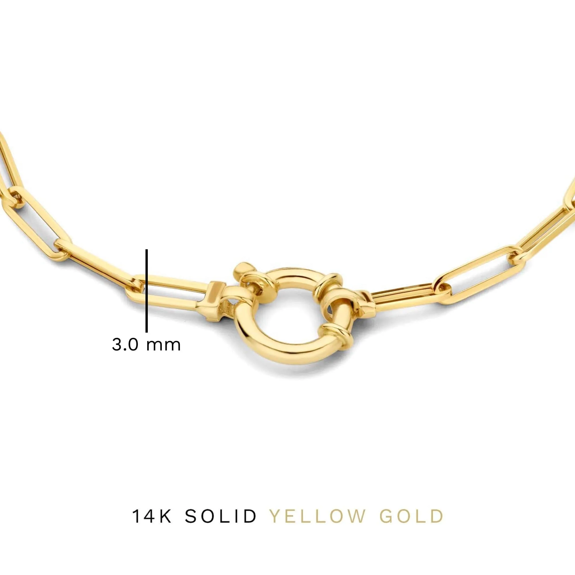 Aidee Odile 14 karat gold link bracelet