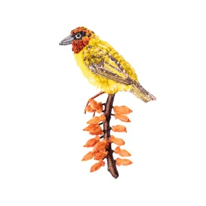 cape weaver brooch