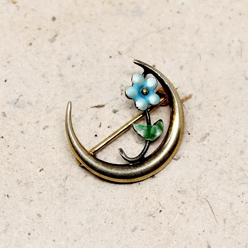 Dainty Victorian Forget Me Not & Crescent Moon Pin