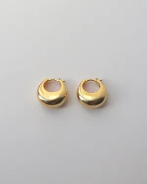 'Emerging' Dome Hoops