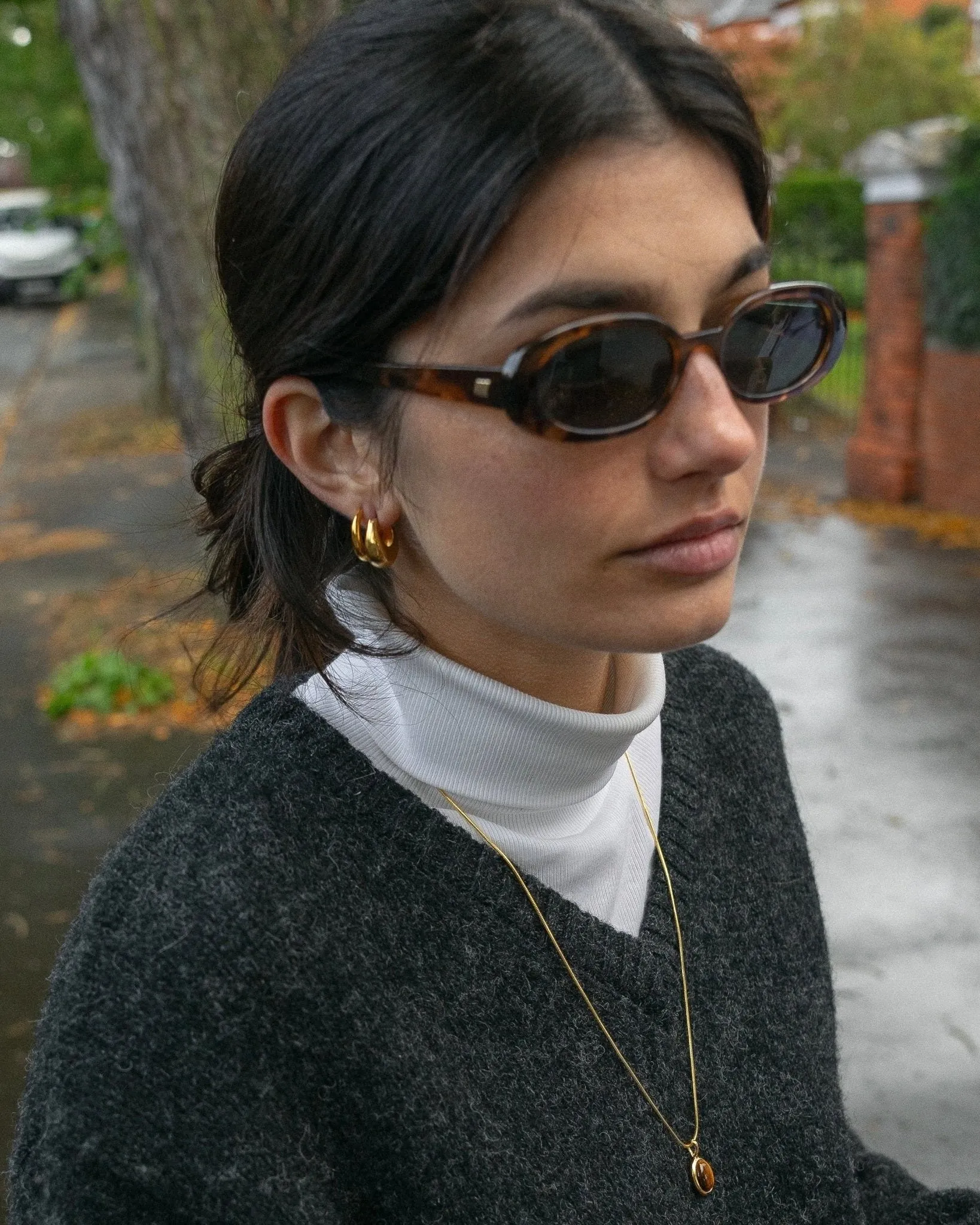 'Emerging' Dome Hoops