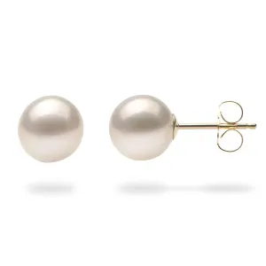 Freshwater Pearl Earrings in Gold - 7-8mm