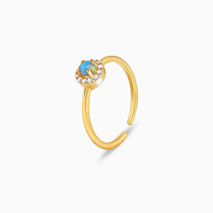 Golden Fabulous Ring