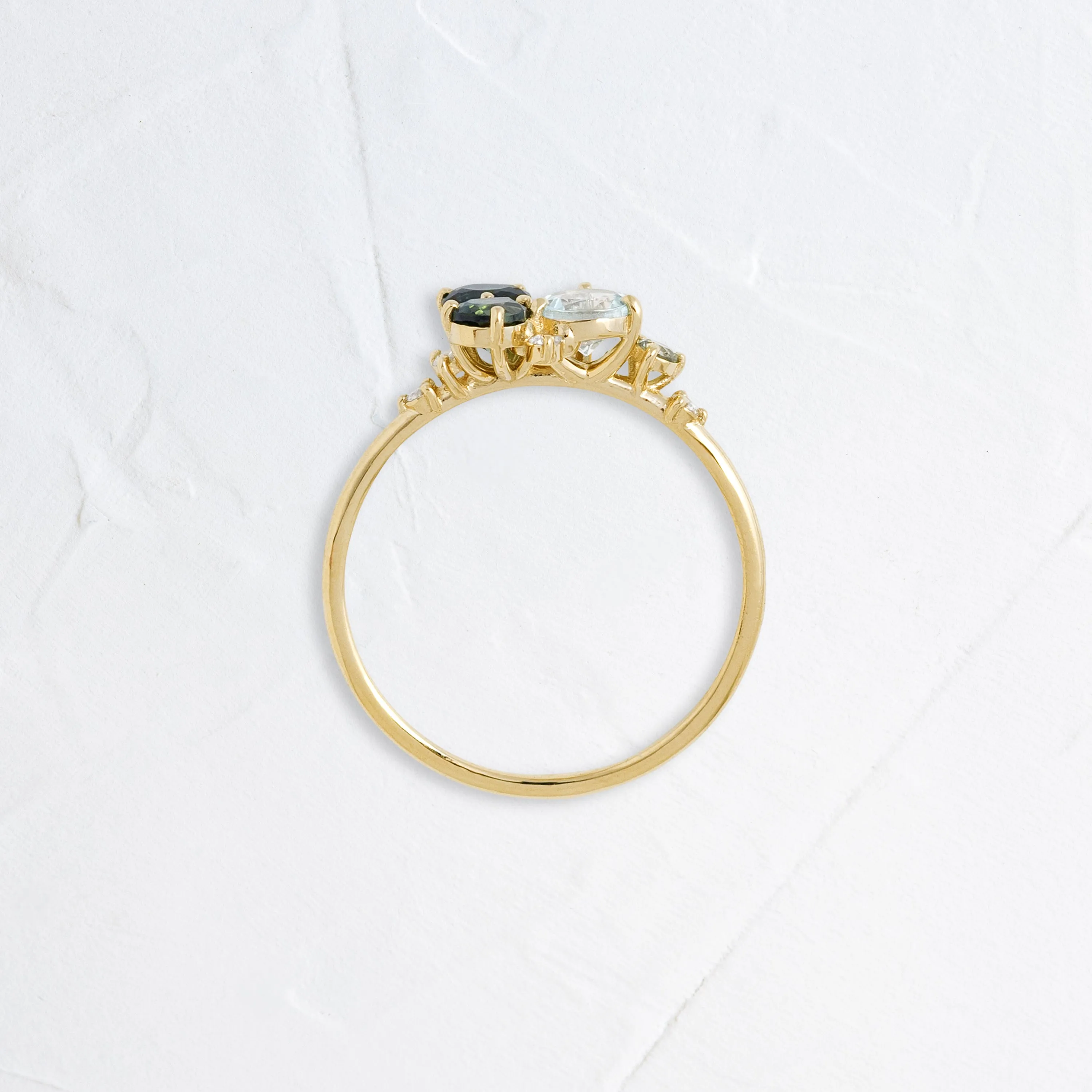 Underwater Garden Ring, Reimagined