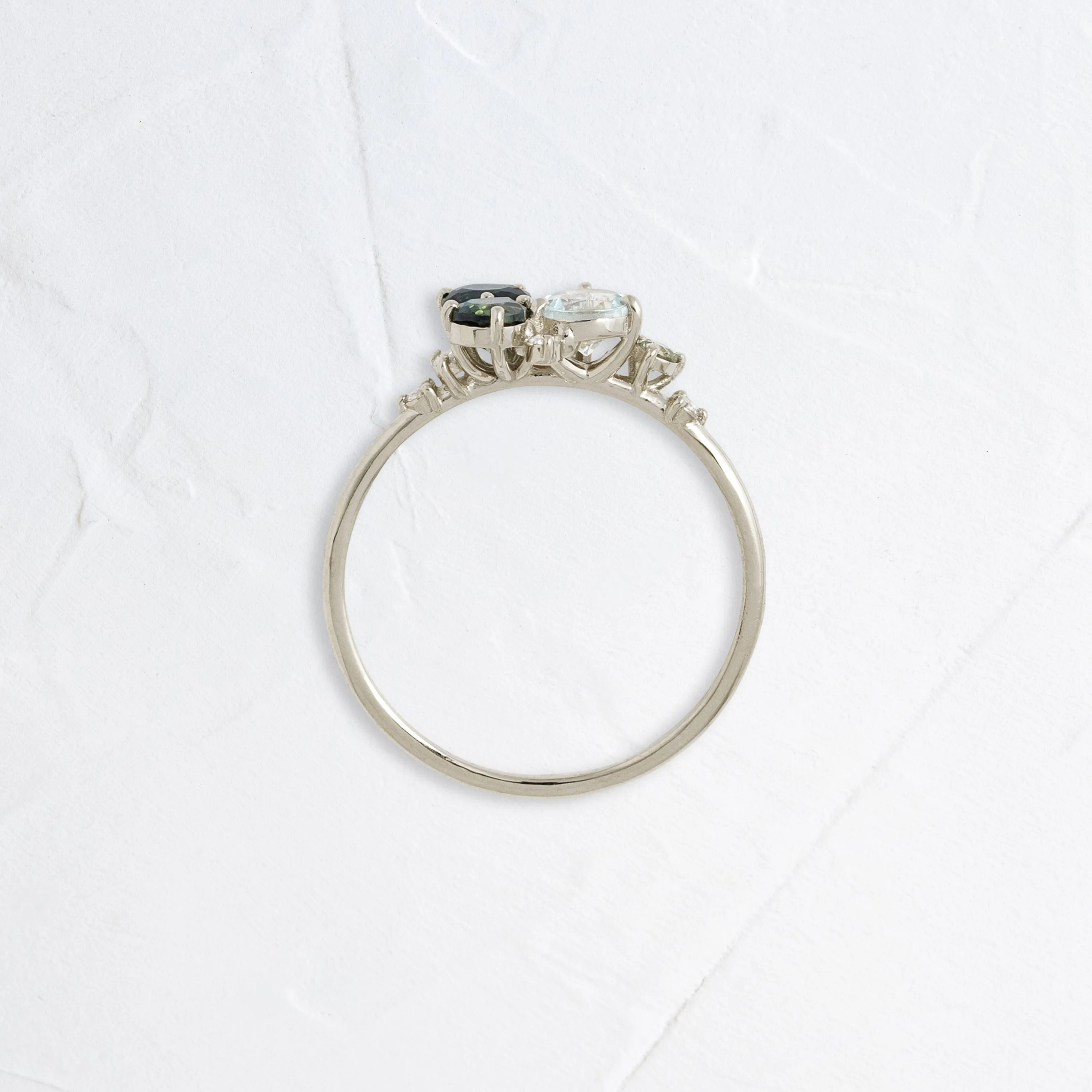 Underwater Garden Ring, Reimagined